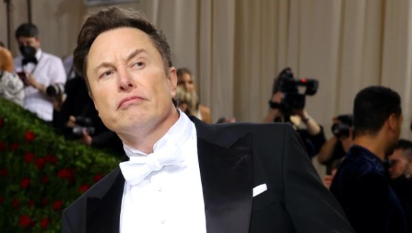 Elon Musk’s polls Twitter over ‘general amnesty’ for all suspended accounts