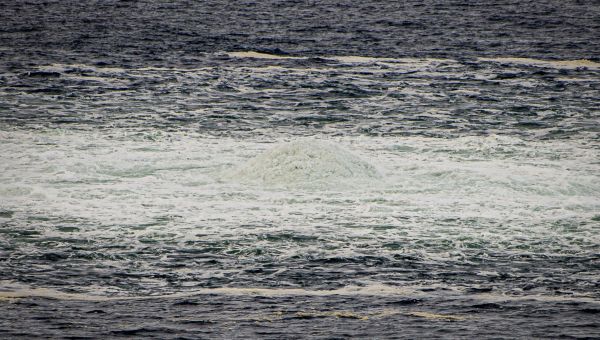 Danes: Nord Stream 2 pipeline seems to have stopped leaking – WTOP News