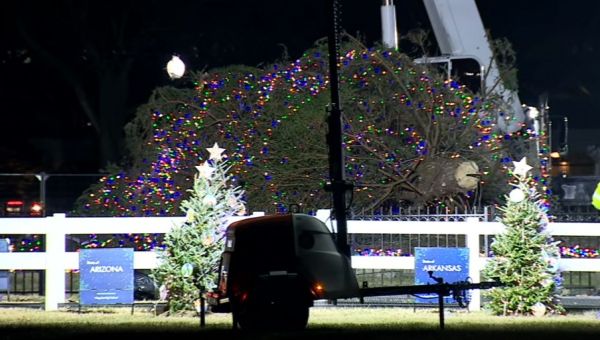 National Christmas Tree topples to the ground at White House: 'Perfectly summing up Joe Biden's presidency'