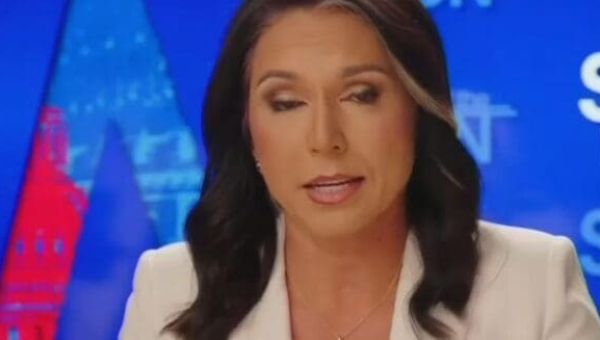 Tulsi Gabbard Tried To Clean Up Trump's Arlington Scandal And It Didn't Go Great
