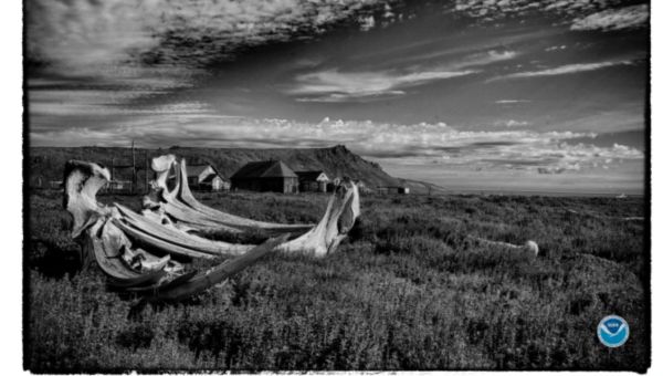 Two Russians ask for asylum after landing at Gambell: Sullivan, Murkowski issue statement on Arctic security – Must Read Alaska