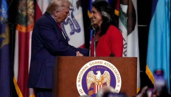 Trump Taps Tulsi Gabbard As Director Of National Intelligence