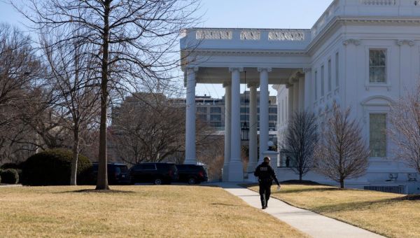 SEE IT: White House Christmas tree topples to the ground, social media users hilariously respond