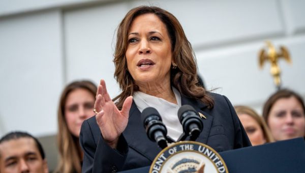 Did Kamala Harris Work at McDonald's? Her Past Job Explained