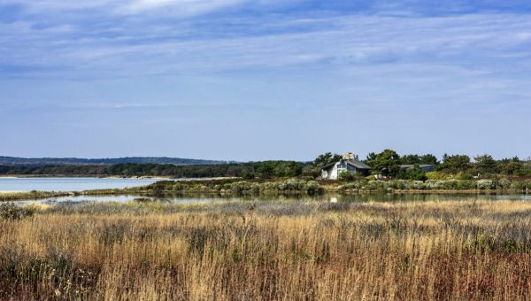 Widow Of Obama Family Chef Speaks Out After Husband Found Dead