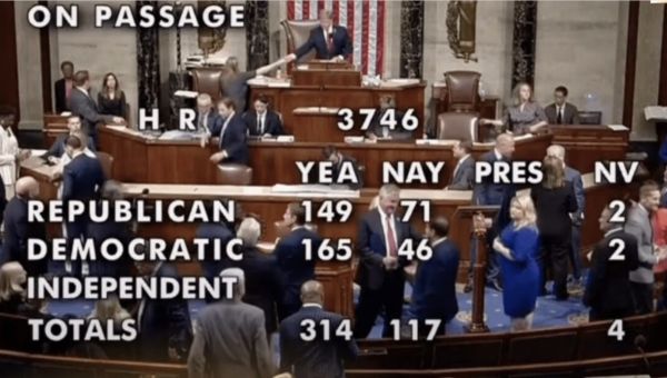 2024 United States presidential election Img