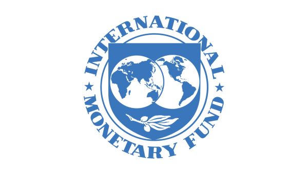 Global public debt in 2024 is expected to reach over $100 trillion, IMF warns