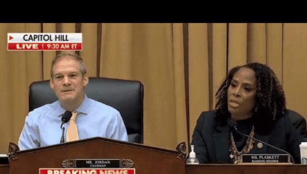 Plaskett Gets Taken to the Cleaners When She Tries to Stomp on RFK’s Ability to Speak