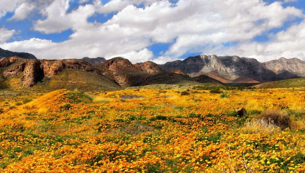 Biden to create a new national monument in West Texas