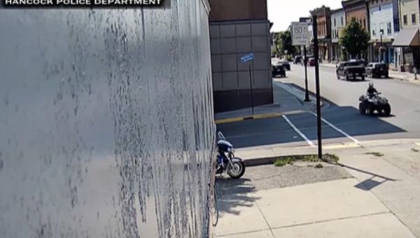 Michigan Man Suspected of Driving Over Elderly Trump Supporter Commits Suicide After Identified