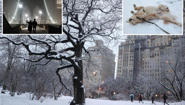 NYC gets 1.8 inches of snow — the most so far this winter
