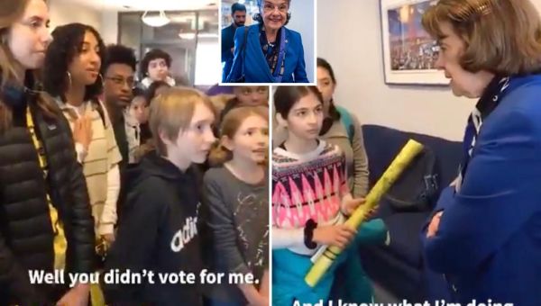When Dianne Feinstein scolded kiddie climate activists: 'You didn't...