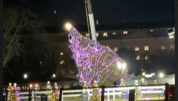 ‘A Fitting Image of the Biden White House’: National Christmas Tree Collapses 2 Days Before Lighting Ceremony