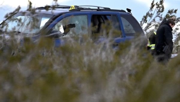 ‘Plague’ of black market marijuana resulting in violence, San Bernardino County sheriff says