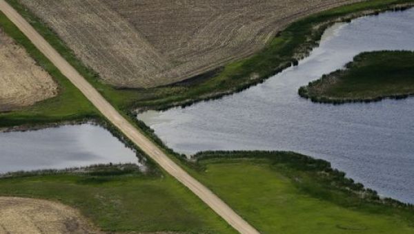 Supreme Court limits federal power over wetlands, boosts property rights over clean water - The Boston Globe
