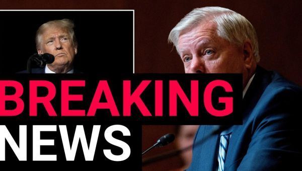 Supreme Court Rules Lindsey Graham Must Testify In Georgia Election ...