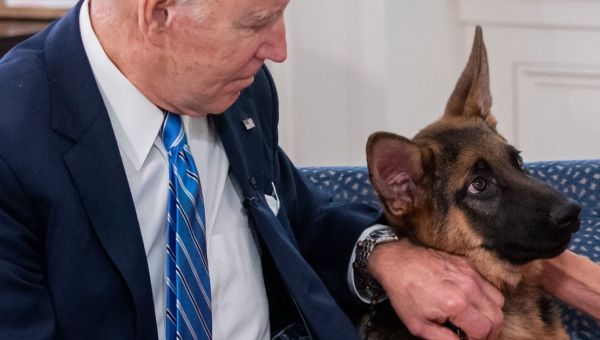 Biden’s dog bites another Secret Service agent in 11th incident