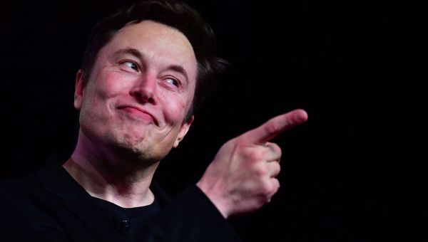 Elon Musk proposes ‘general amnesty’ for suspended accounts