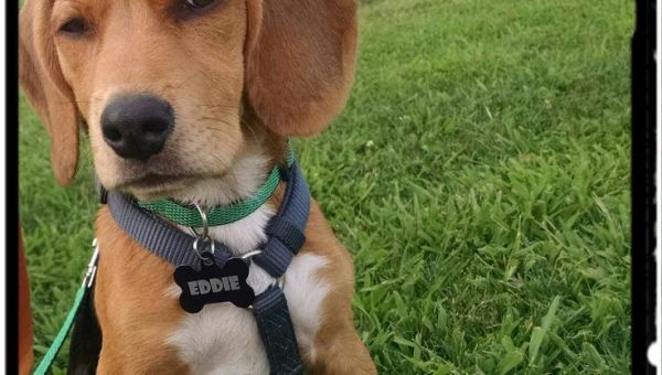 Mysterious, Non Hazardous, White Powder Found in Mailroom of Building Where Manhattan District Attorney Alvin Bragg Has Office – The Last Refuge