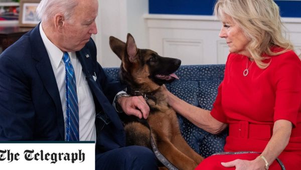 A bad week for the Bidens with son Hunter’s legal woes and a dog that bites