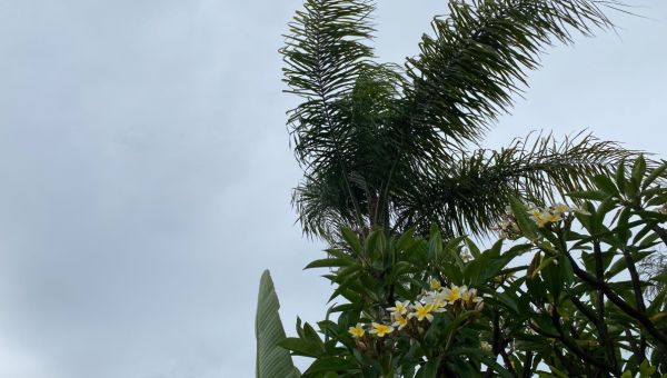 Live tracker: Hilary weakens to tropical storm, will make landfall in San Diego County Sunday