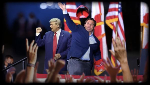 Donald Trump ad reminds Ron DeSantis ‘how he got to where he is’