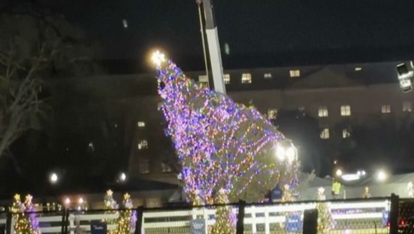 National Christmas Tree near the White House toppled by strong winds ahead of lighting ceremony
