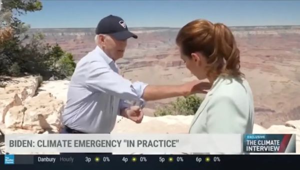 AWKWARD: Biden Swats Insect Off Of Reporter During Climate Change Interview: ‘You Have A Bug On You’