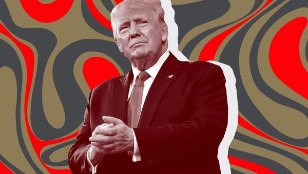 Trump says he’ll task Elon Musk with auditing the entire federal government