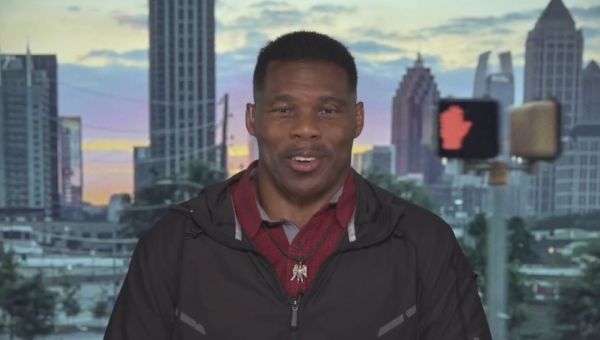 Bret Baier Helps Herschel Walker Spin Latest Abortion Scandal
