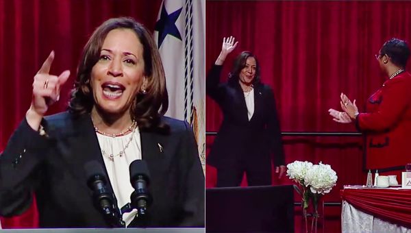 'We Will Not Stand For It!' Kamala Harris Torches New Florida 'Benefits' of Slavery Guidance To Huge Applause At Black Sorority