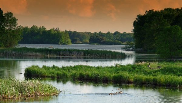 Supreme Court Wetlands Decision Further Muddies Already Murky