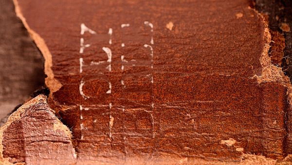 An Oklahoma Bible Story