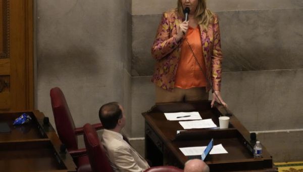 Tennessee House votes to expel two of three Democratic members over gun protest
