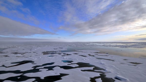 Oil companies decline to bid for Arctic Refuge drilling rights