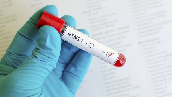 CDC pick Weldon to face avian influenza, measles threats