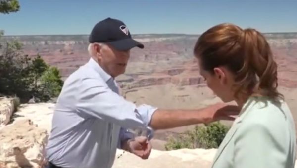 Biden Becomes Distracted by Bug While Talking About ‘National Emergency’ During Rare TV Interview