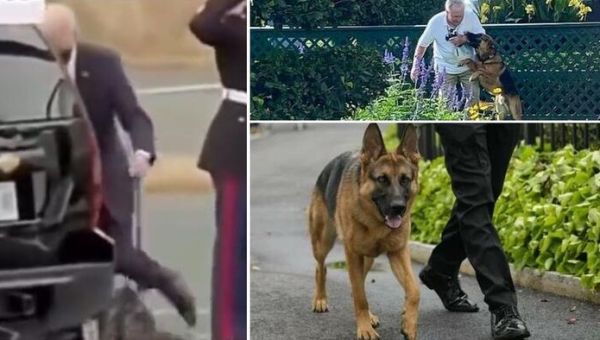 Watch: Biden Kicks His Dog As Rumors Of Animal Abuse Swirl