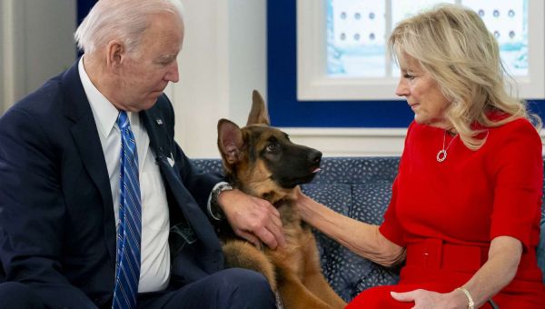 Biden’s Dog Reportedly Involved in 10 Biting Incidents as First Family Seeks ‘Additional Training’