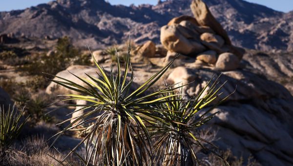 'It's a place of reverence:' Biden designates Avi Kwa Ame as a national monument - The Nevada Independent