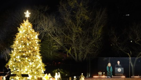 What Happened to the National Christmas Tree 'Perfectly Sums Up Joe Biden's Presidency'