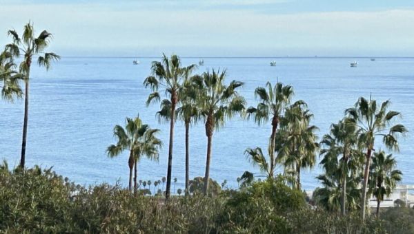 Congressman works to protect coast from drilling before Trump administration takes control