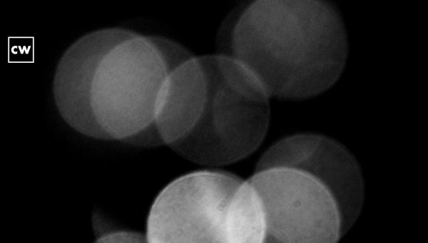 New cyberespionage techniques in the wild. Developments in the C2C markets. A hacktivist auxiliary is unhappy with Telegram.