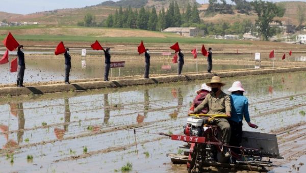 Amend the North Korea travel ban to allow for timely humanitarian aid