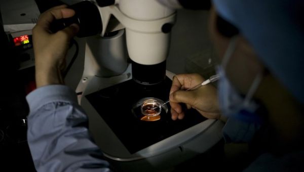 Republican Senators Will Introduce Legislation to Legalize IVF Treatment Nationally