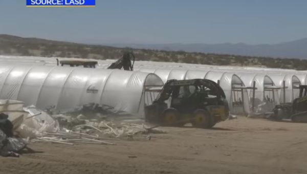 Mexican President Warns Trump Against Cartel Drone Strikes | Frontpage Mag