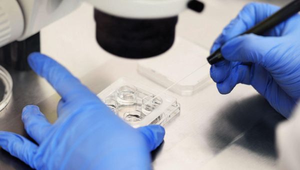 Alabama patient says embryo ruling has “derailed a lot of hope” for IVF