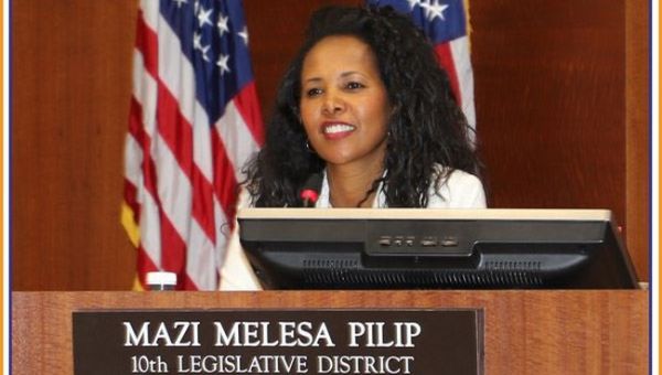 Meet the Totally Badass Republican Mom of Seven Running for that Santos Seat