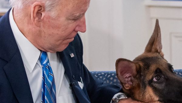 Biden Too Beta? Dog Trainers Say Biting Indicates Lack Of Leadership