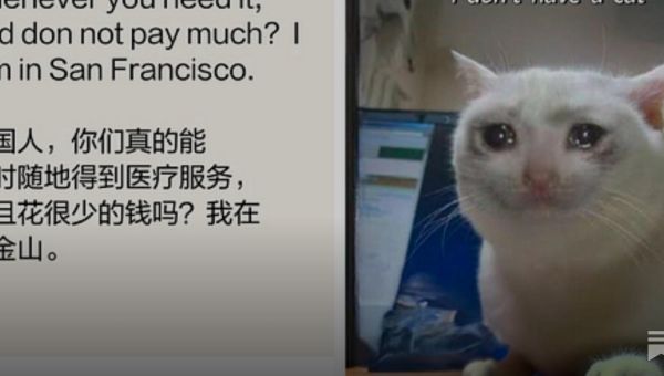 What Would Be Worse Than Death To TikTok? Elon Musk Buying It!